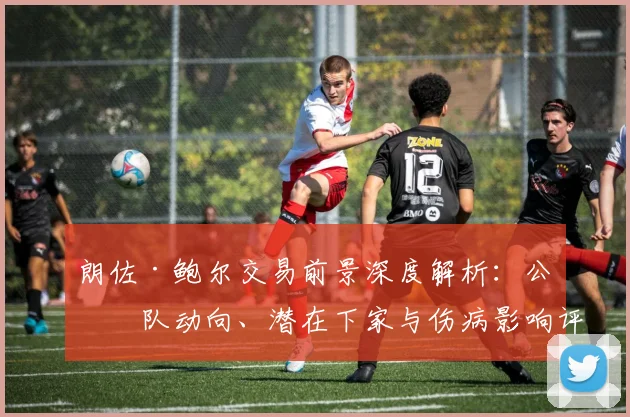 朗佐·鲍尔交易前景深度解析：公牛队动向、潜在下家与伤病影响评估