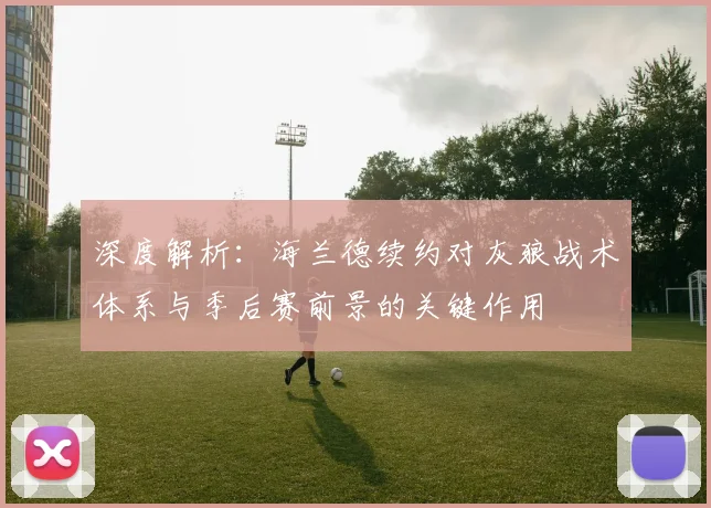 深度解析:海兰德续约对灰狼战术体系与季后赛前景的关键作用